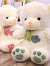 Bear skin Plush Teddy Bear